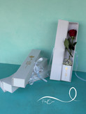 تک شاخه گل رز باکسی فلوبار