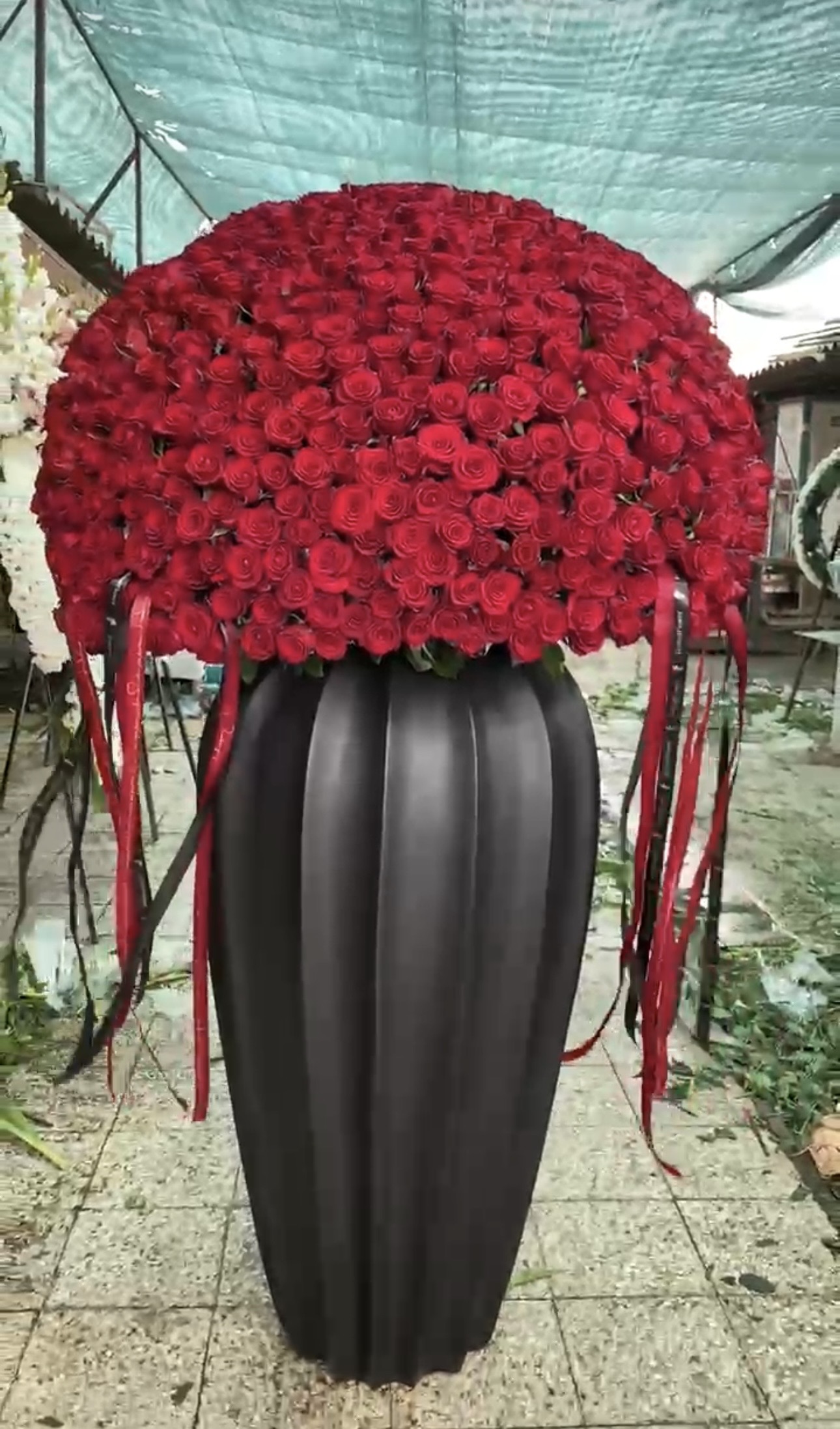 باکس گل غول پیکر ۴۰۰ شاخه رز قرمز فلوبار